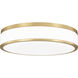 Ballord LED 16 inch Modern Gold Flush Mount Ceiling Light