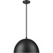 Vega Pendant Ceiling Light in Matte Black