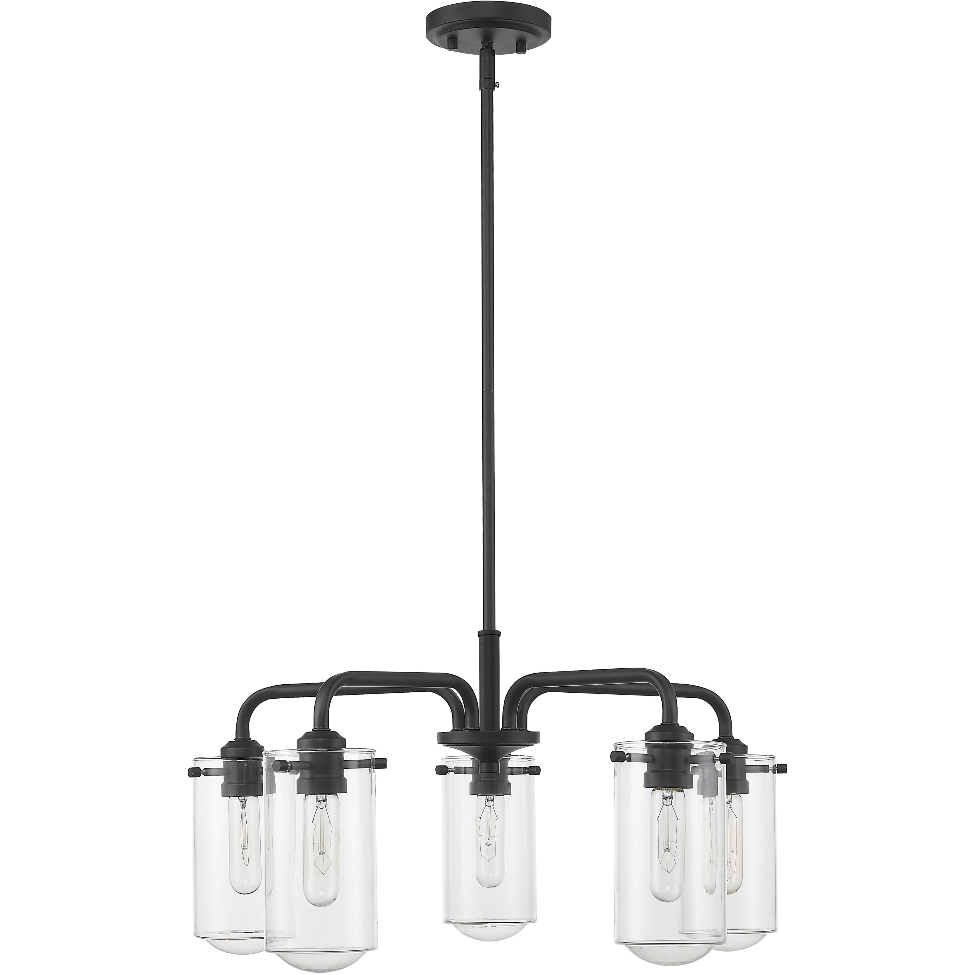 Delaney 5 Light 24 inch Matte Black Chandelier Ceiling Light