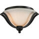 Lagoon 2 Light 15 inch Matte Black Flush Mount Ceiling Light