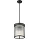 Carnaby 3 Light 10 inch Matte Black Pendant Ceiling Light