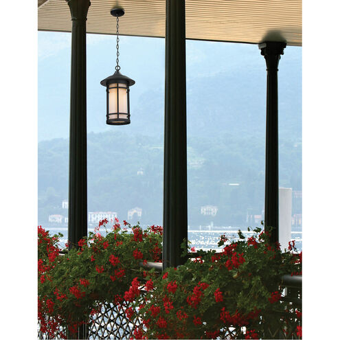 Woodland 1 Light 10 inch Black Outdoor Chain Mount Ceiling Fixture