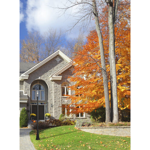 Helix 1 Light 113.25 inch Black Outdoor Post Mounted Fixture