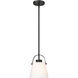 Z-Studio 1 Light 8 inch Matte Black Pendant Ceiling Light