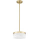 Renaud Pendant Ceiling Light in Modern Gold