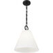 Alaric 1 Light 14 inch Matte Black Pendant Ceiling Light
