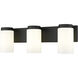 Burk 3 Light 22.5 inch Matte Black Bath Vanity Light Wall Light