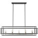 Titania 10 Light 54 inch Black and Brushed Nickel Linear Chandelier Ceiling Light