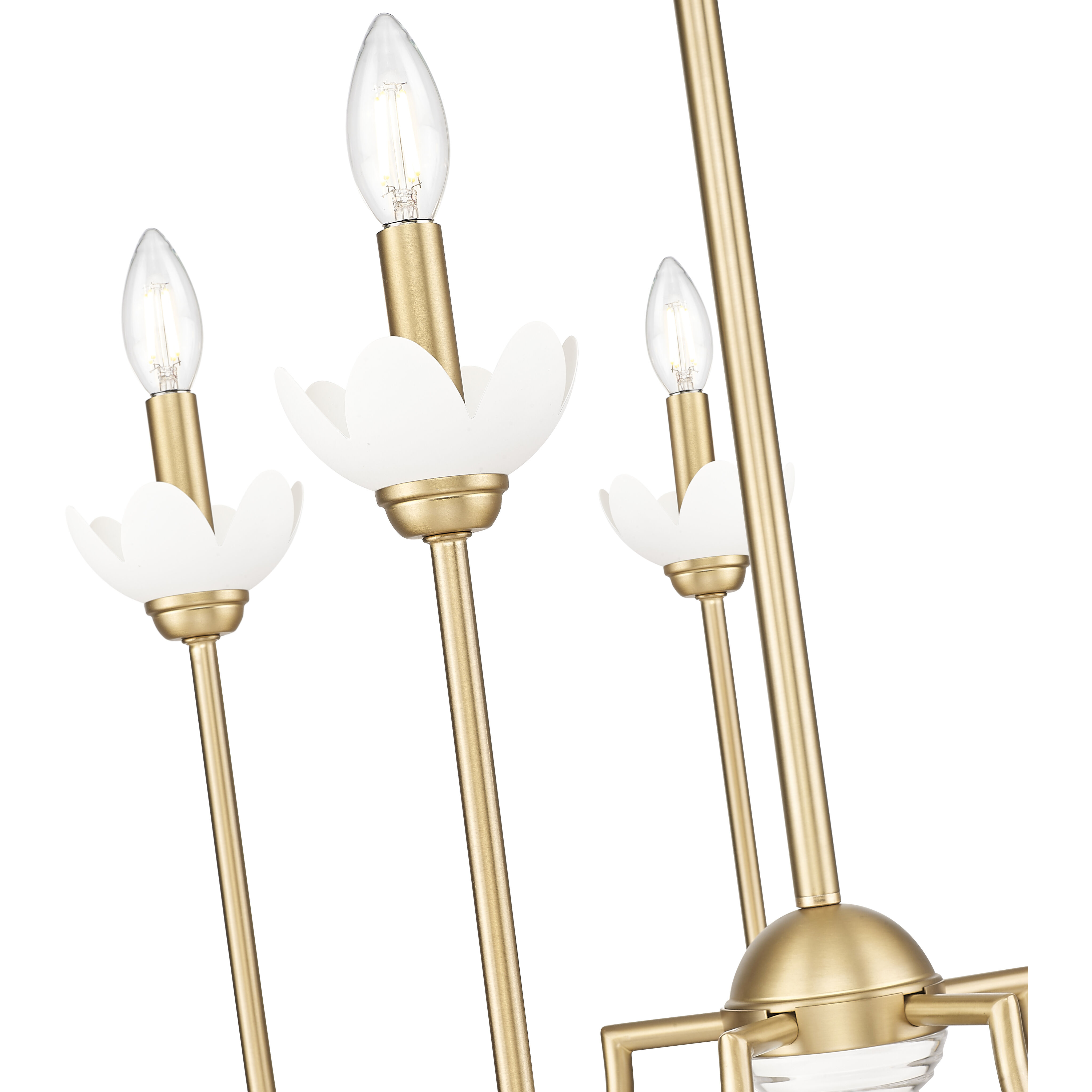 Allistair 5 Light 24 inch Modern Gold Chandelier Ceiling Light