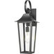 Gannon Outdoor Wall Light in Black, G9
