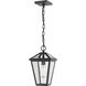 Talbot 1 Light 8.25 inch Black Outdoor Chain Mount Ceiling Fixture in Clear Beveled Glass