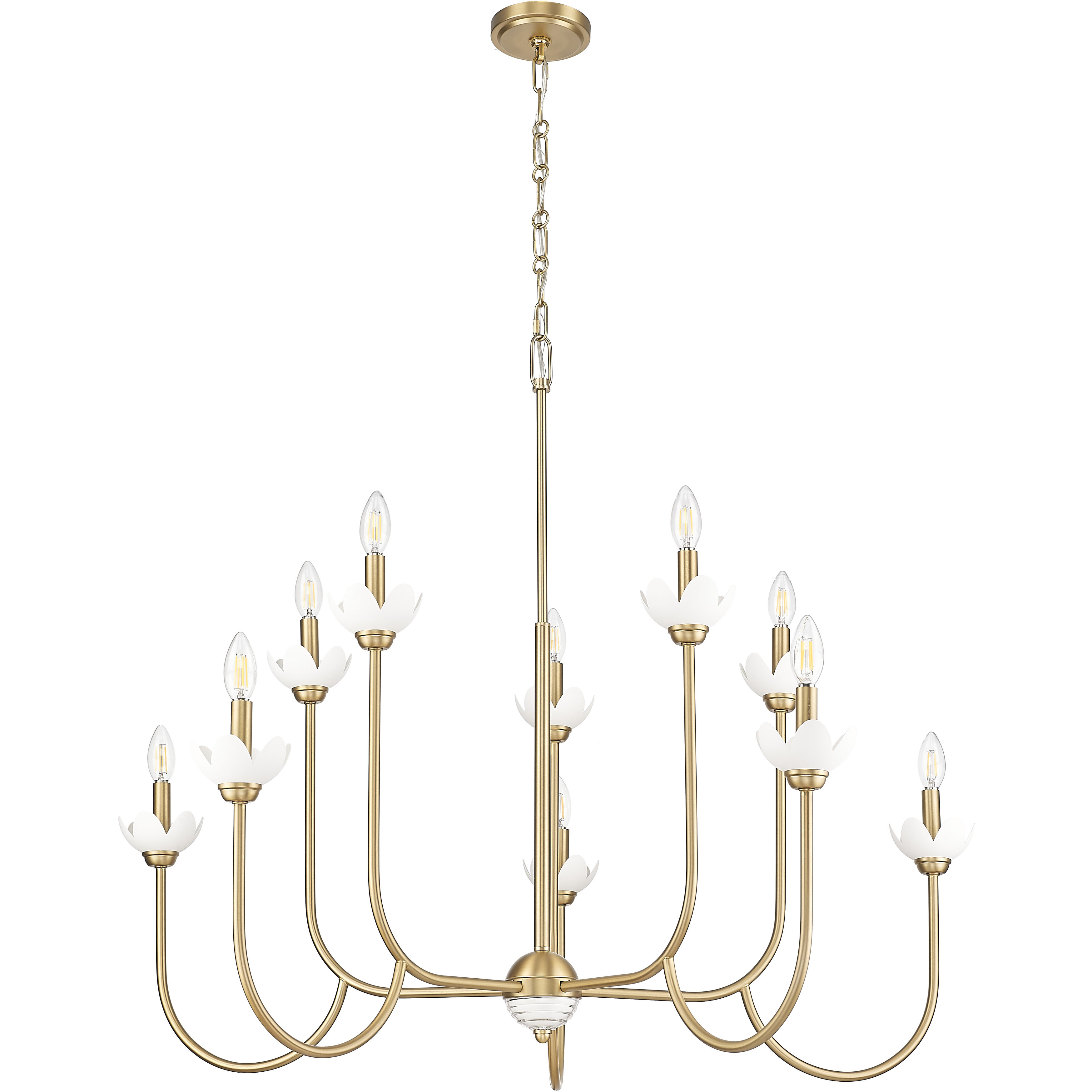 Allistair 10 Light 42 inch Modern Gold Chandelier Ceiling Light