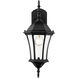 Wakefield 1 Light 21.75 inch Black Outdoor Wall Light