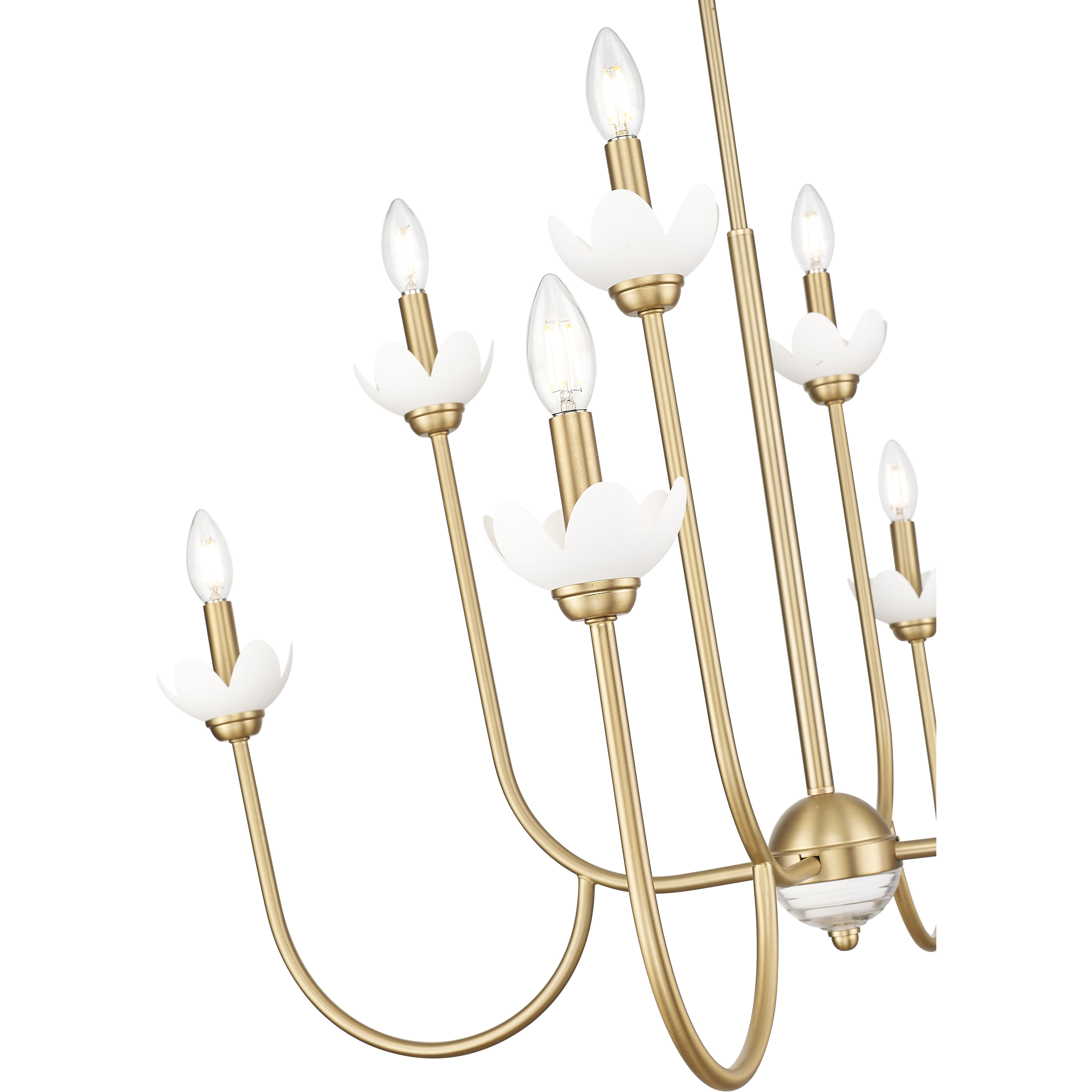 Allistair 8 Light 36 inch Modern Gold Chandelier Ceiling Light