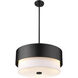 Counterpoint 3 Light 18 inch Matte Black Pendant Ceiling Light