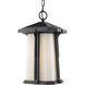 Harbor Lane 1 Light 7.5 inch Black Outdoor Chain Mount Ceiling Fixture