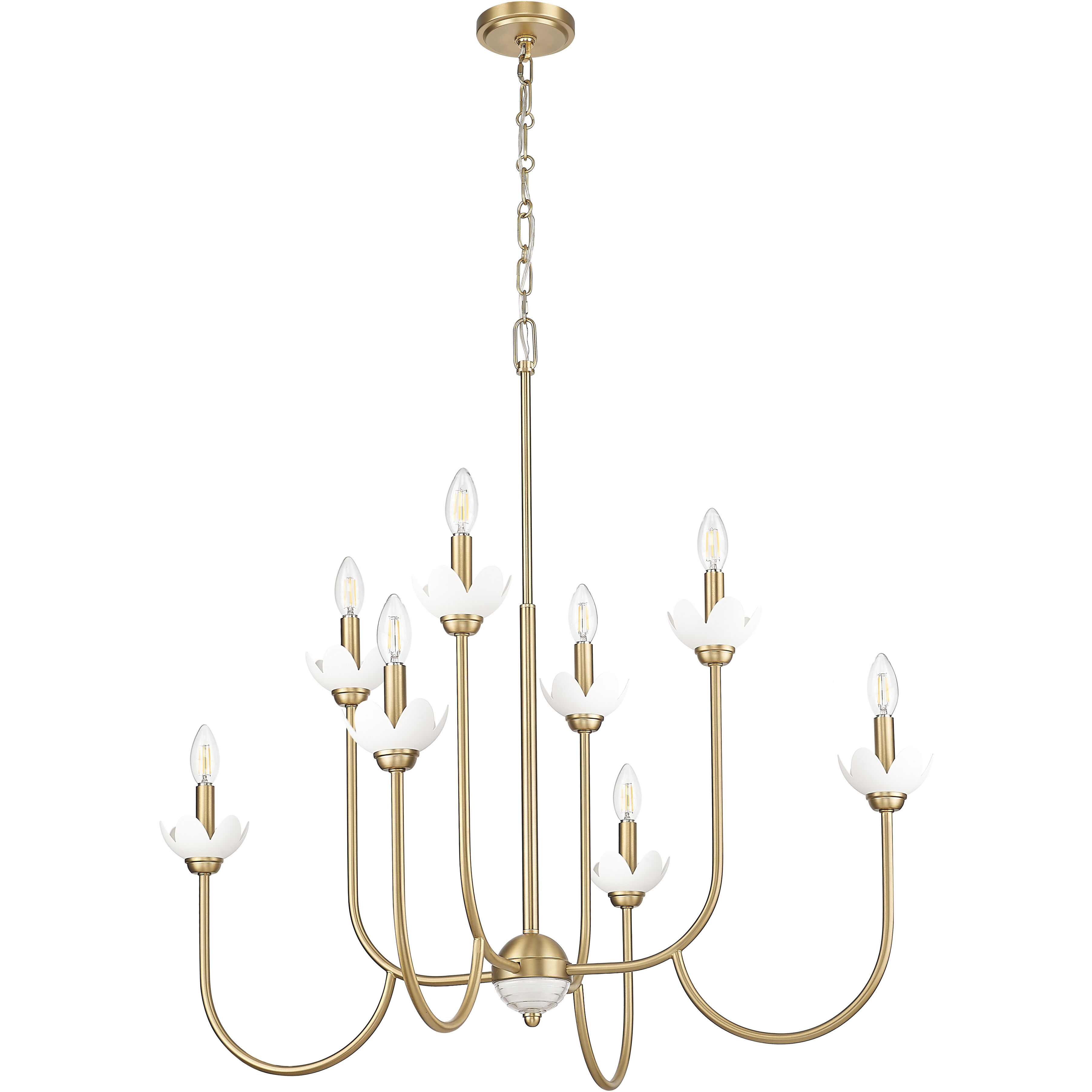 Allistair 8 Light 36 inch Modern Gold Chandelier Ceiling Light