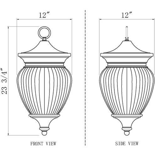 Davina 4 Light 12 inch Black Outdoor Chain Mount Ceiling Fixture in G9