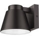 Asher LED 5 inch Oil Rubbed Bronze Outdoor Wall Light