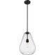 Ayra 1 Light 12 inch Matte Black Pendant Ceiling Light