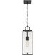 Sana 1 Light 6.75 inch Black Outdoor Chain Mount Ceiling Fixture in Seedy Glass