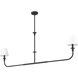 Tova 2 Light 63.75 inch Matte Black Linear Chandelier Ceiling Light