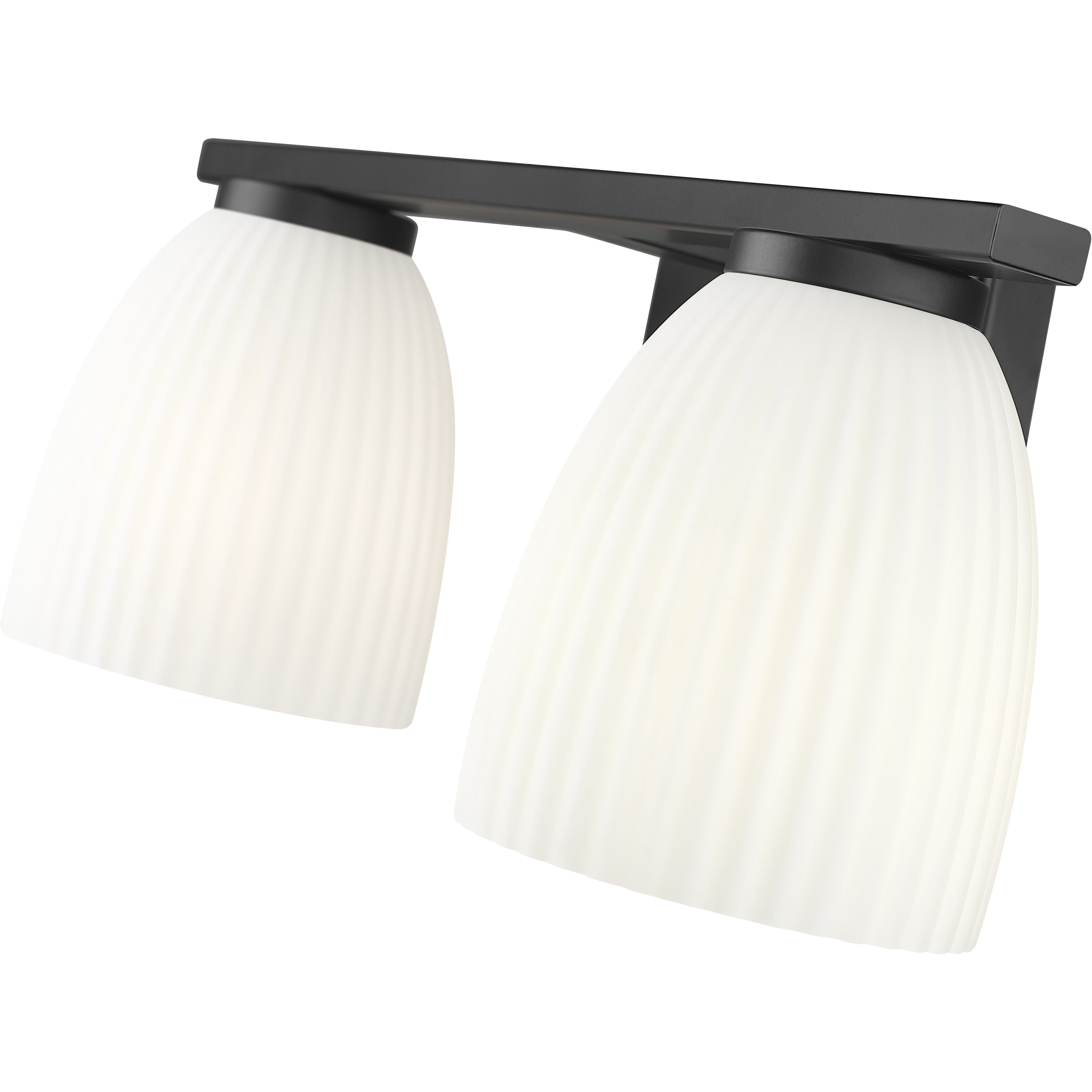 Naya 2 Light 16 inch Matte Black Bath Vanity Light Wall Light