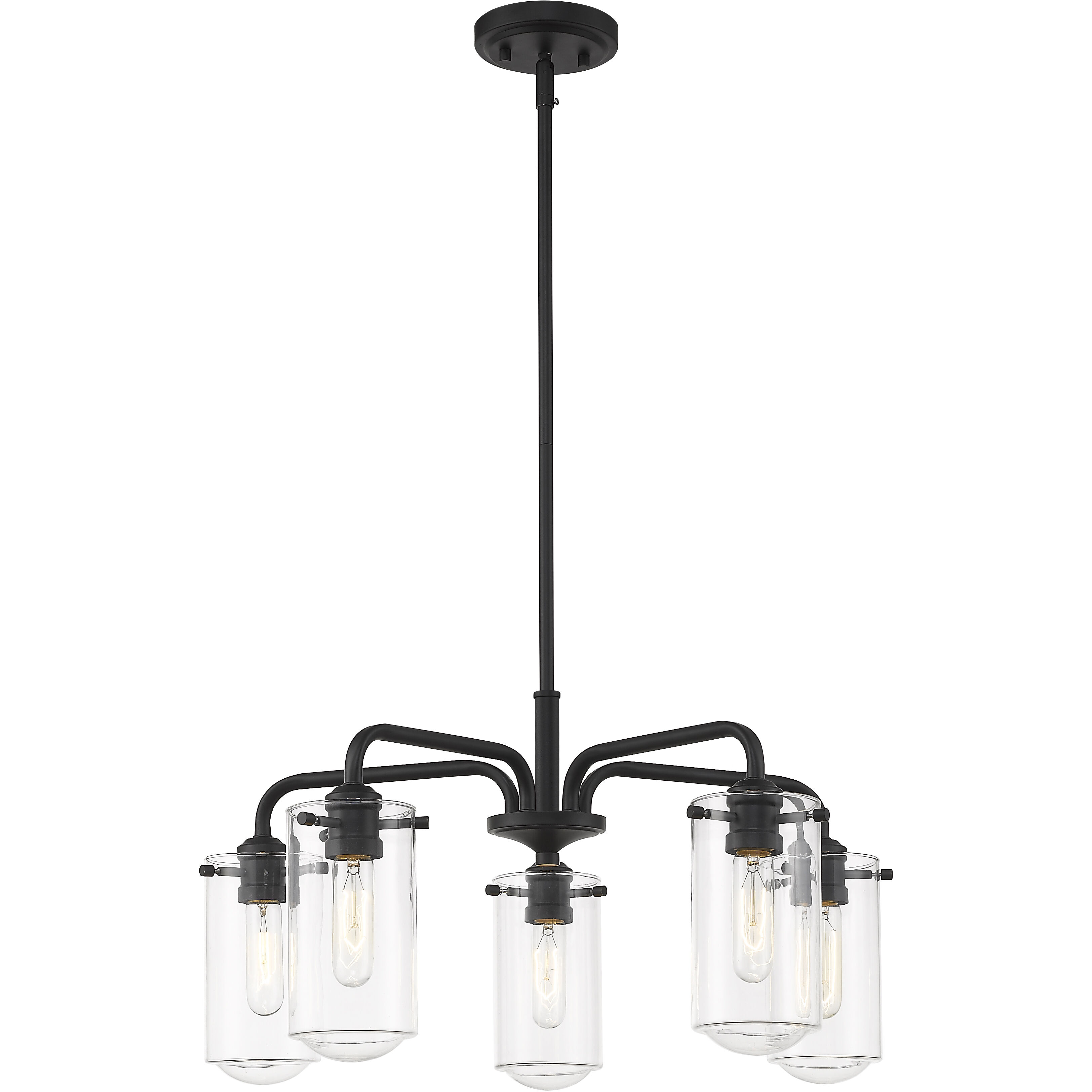 Delaney 5 Light 24 inch Matte Black Chandelier Ceiling Light