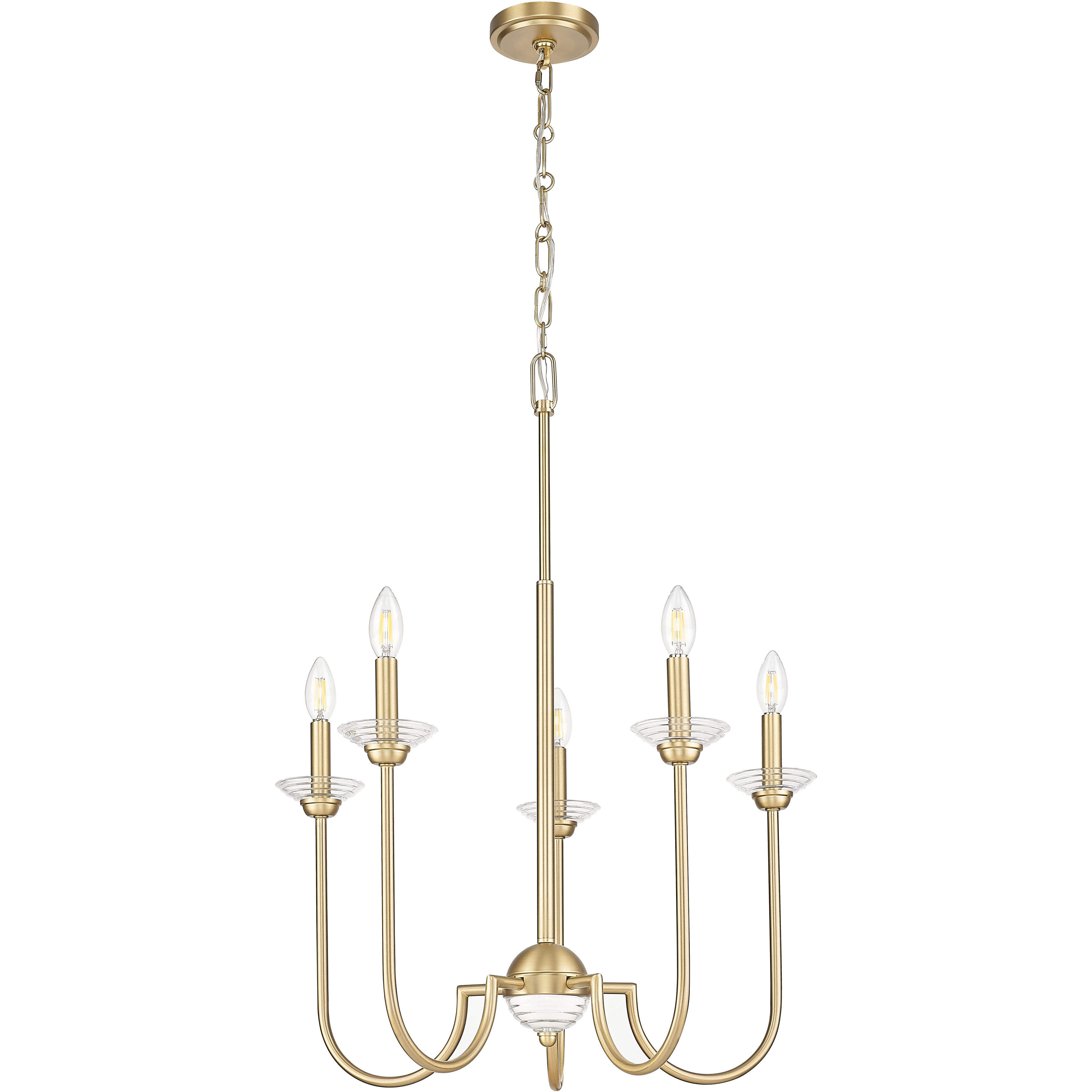 Allistair 5 Light 24 inch Modern Gold Chandelier Ceiling Light