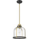 Burren 1 Light 12.25 inch Bronze and Brass Pendant Ceiling Light