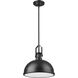 Melange 1 Light 13.25 inch Matte Black Pendant Ceiling Light in Matte Black Steel