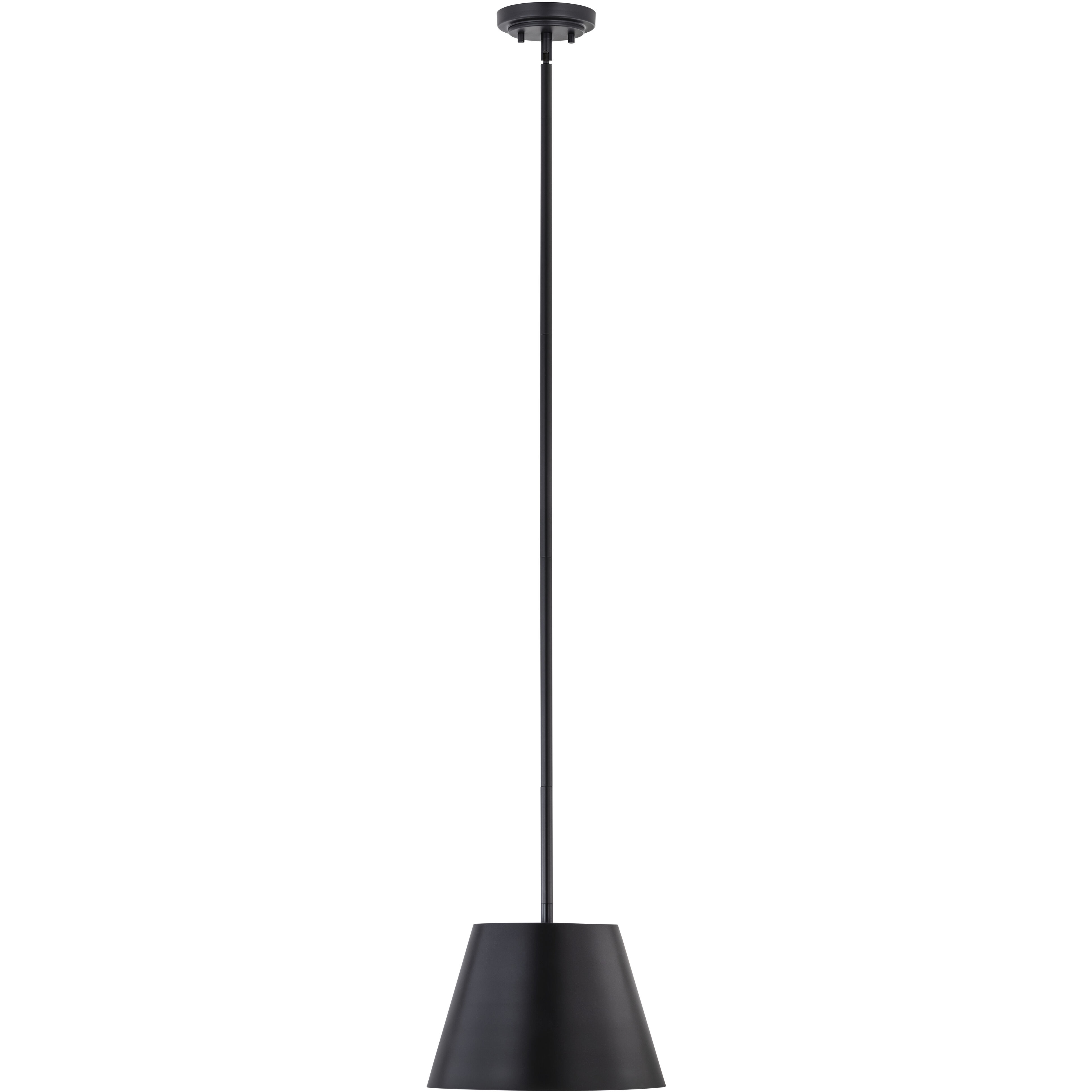 Lilly 1 Light 12 inch Matte Black Pendant Ceiling Light