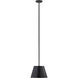 Lilly 1 Light 12 inch Matte Black Pendant Ceiling Light