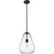 Ayra 1 Light 12 inch Matte Black Pendant Ceiling Light
