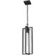 Aura 1 Light 8 inch Black Outdoor Chain Mount Ceiling Fixture in G9