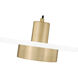 Ludo Pendant Ceiling Light in Matte White and Modern Gold