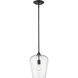 Joliet 1 Light 9 inch Matte Black Pendant Ceiling Light