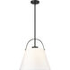 Z-Studio 1 Light 18 inch Matte Black Pendant Ceiling Light