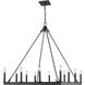 Barclay 12 Light 34 inch Matte Black Chandelier Ceiling Light