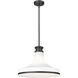 Reznor Pendant Ceiling Light in Matte Black