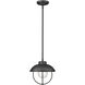 Ansel 1 Light 11 inch Black Outdoor Pendant