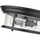 Sonna 2 Light 13.5 inch Matte Black Flush Mount Ceiling Light