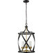 Malcalester 3 Light 14 inch Matte Black/Olde Brass Pendant Ceiling Light