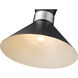 Soriano 1 Light 13 inch Matte Black/Brushed Nickel Pendant Ceiling Light