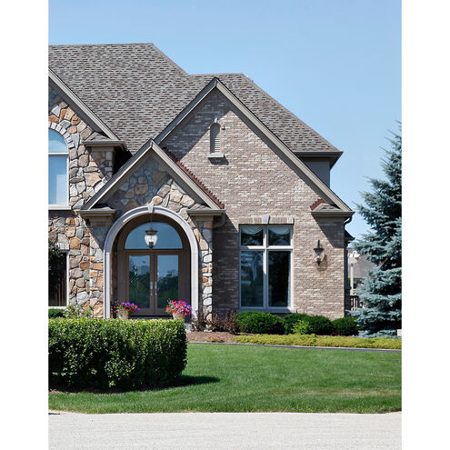 Davina 4 Light 12 inch Black Outdoor Chain Mount Ceiling Fixture in G9