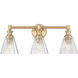 Auden 3 Light 23.75 inch Bathroom Vanity Light