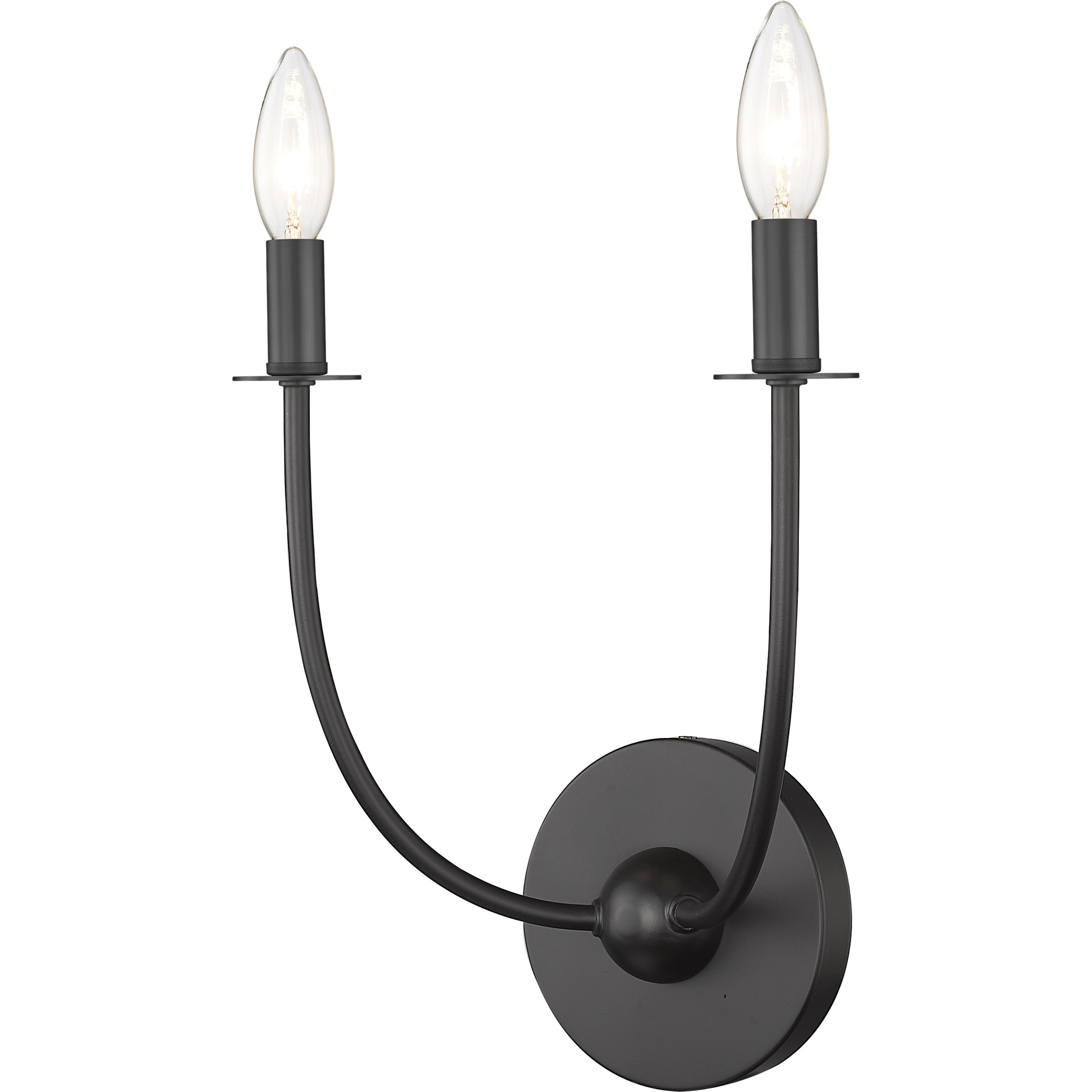 Shannon 2 Light 12.75 inch Matte Black Wall Sconce Wall Light