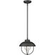 Ansel 1 Light 11 inch Black Outdoor Pendant