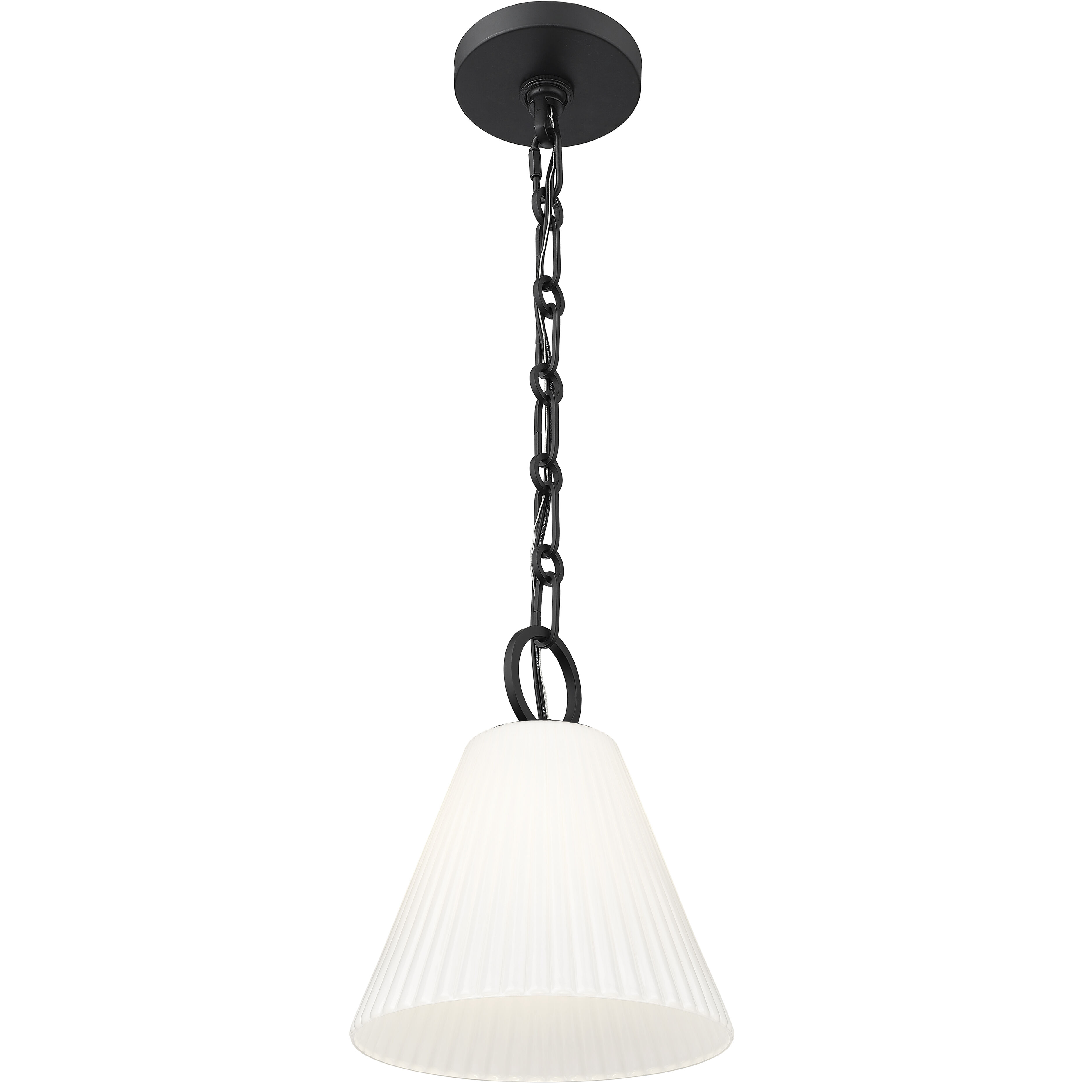 Alaric 1 Light 10 inch Matte Black Pendant Ceiling Light