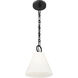 Alaric 1 Light 10 inch Matte Black Pendant Ceiling Light